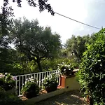 Le Olivine Appartamento Sorrento