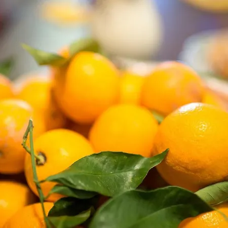 Le Olivine Appartamento *