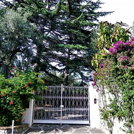 Le Olivine Appartement *