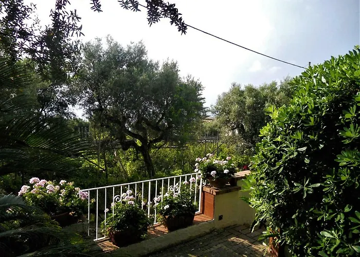 Le Olivine Appartamento Sorrento