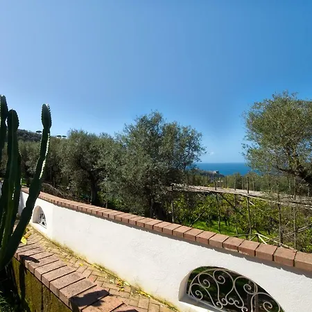 Appartement Le Olivine *