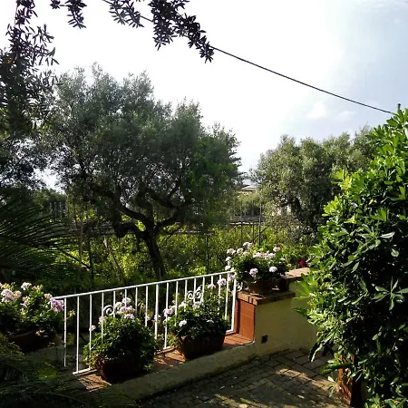 Le Olivine Appartement Sorrente